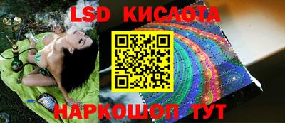 ГАЛЛЮЦИНОГЕННЫЕ ГРИБЫ Обь