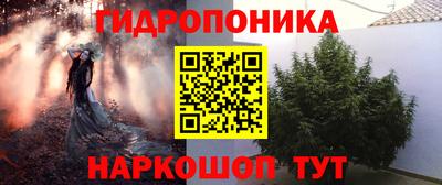 ГАЛЛЮЦИНОГЕННЫЕ ГРИБЫ Обь