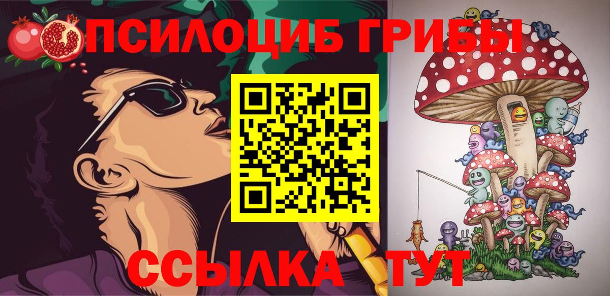 Галлюциногенные грибы Psilocybe Туапсе